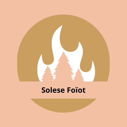 SOLESE FOIOT